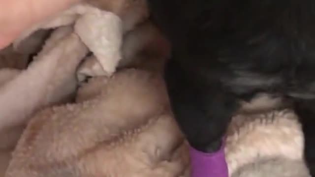 I love the sound of this video