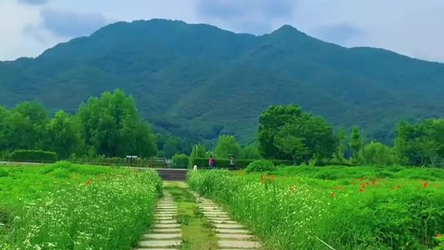 A good place for an outing in the courtyard of water and bear garden: Nanyangzhou
