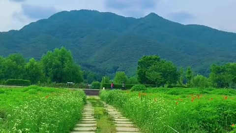 A good place for an outing in the courtyard of water and bear garden: Nanyangzhou