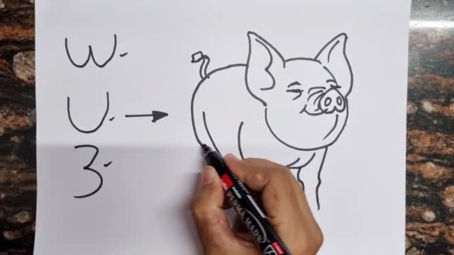 WU3 turns into Pig Drawing // Easy Pig drawing
