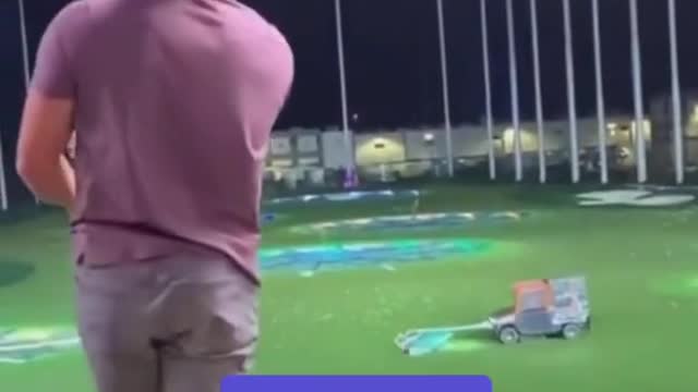 flame bird has its own special attack air cut