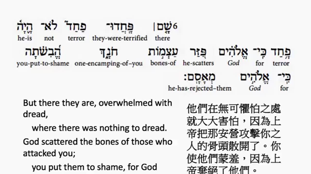 psalm 53 in hebrew _ salmo 53 en hebreo