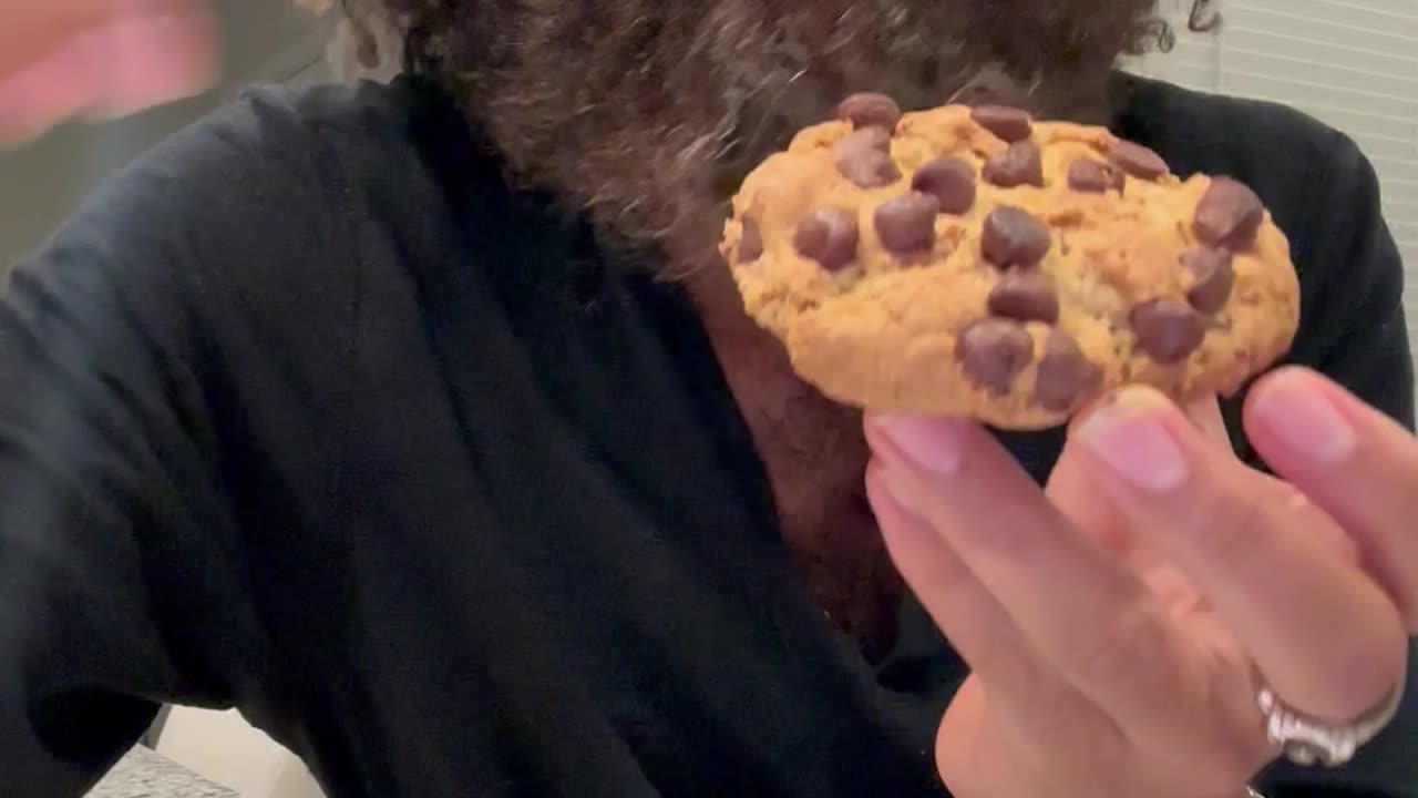 cookie time with Rock Mercury