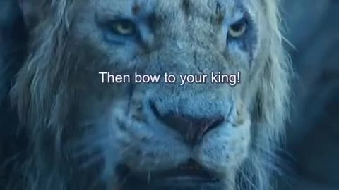 Motivational movie#world record #king#advice#Adventure.