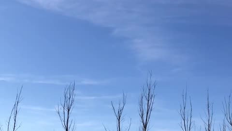 Chemtrails 11/2/24 one