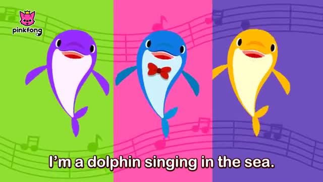 Click Click Dolphin - Sea Animals Song - Dolphin Song -