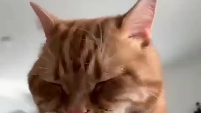 ❤️❤️❤️❤️❤️😻😻😻😻😻😻❤️❤️❤️❤️