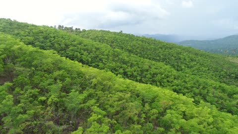 NASA Joins Jane Goodall to Conserve Chimpanzee Habitats