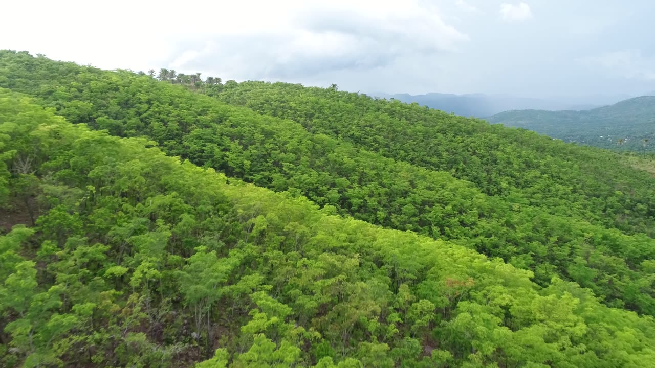 NASA Joins Jane Goodall to Conserve Chimpanzee Habitats
