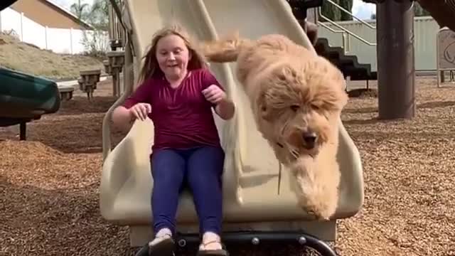 The girl and dog playing in the park very happily - #dog #lovelies