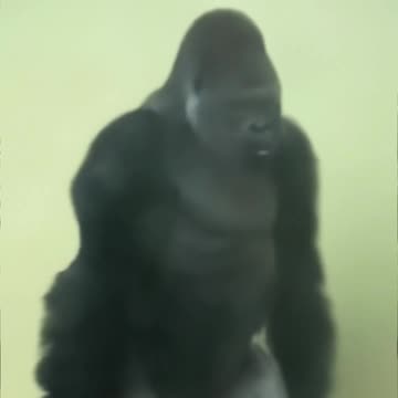 Sneaking out of work early on a Friday