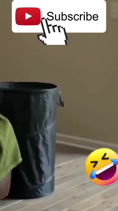 Crezy Cat funny videos @g7with