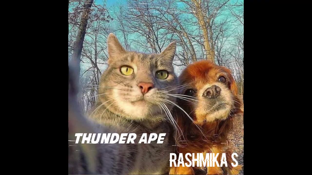 RABBIT9 ft NaviYa Gameplay - Zombie Game Time | Thunder Ape Edit
