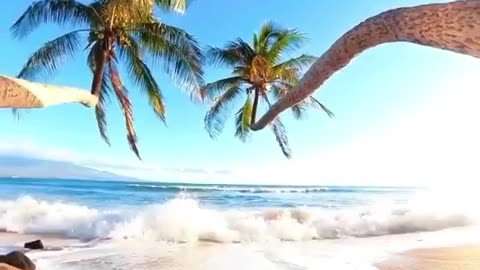 Beauty of Nature