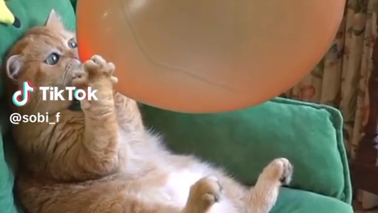 Day