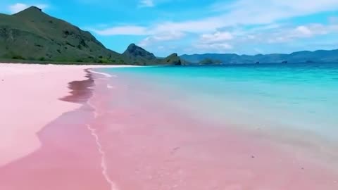 Beautiful pink beach