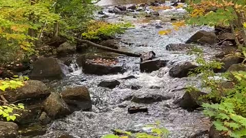 Beautiful nature.... water running