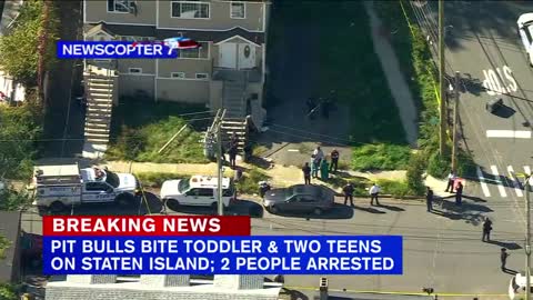 2 teens, toddler attacked by pit bulls on Staten Island