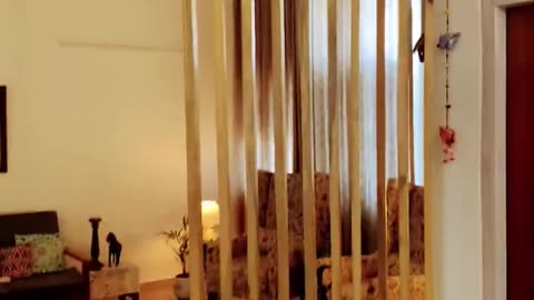 Transform Your Space: DIY Low-Cost Wooden Partition for a Stylish Home Makeover