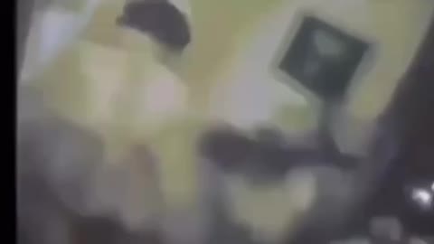 It was never about the election