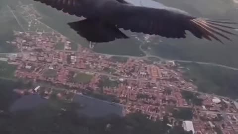 Best video i've ever seen