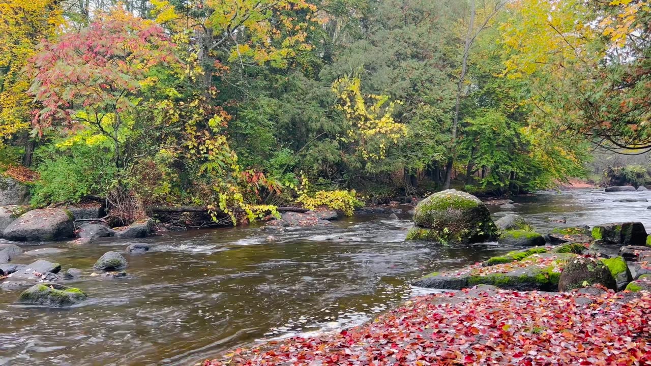 River during the fall season