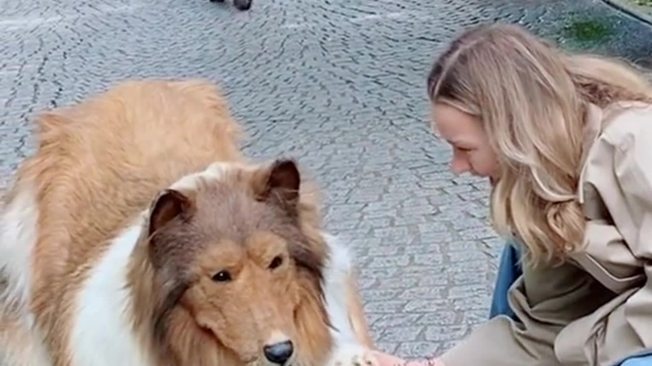Japanese man turn himself into a dog🐶#support #follow #like #support #movies #plz