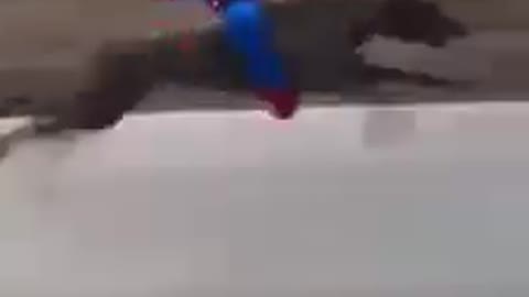 Funny spiderman