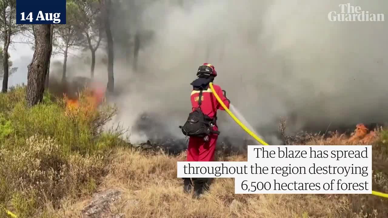 Wildfires tear through forests in Spain's south-eastern Valencia region