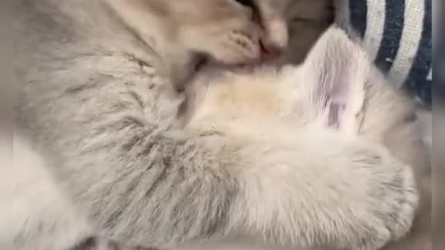 So precious 🥰🥰🥰