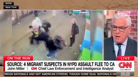 NY illegal migrants have theft teams, CNN is stunned