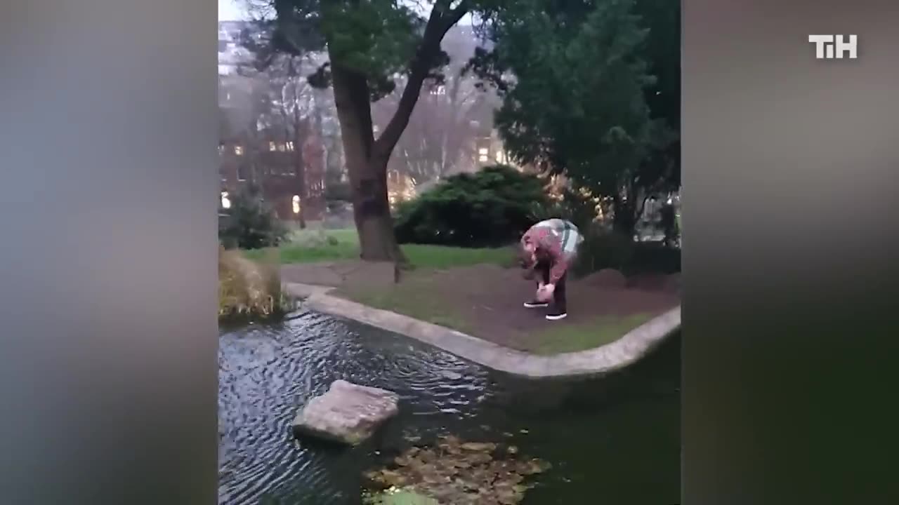 Best Viral Videos Of The Year (So Far)