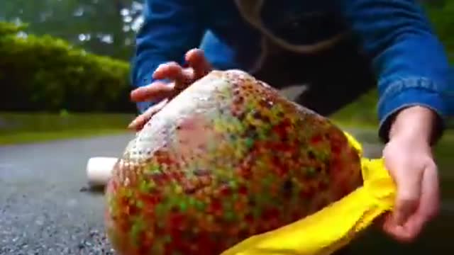 RAINBOW FISH ASMR! #relaxing #asmr #satisfying #shorts #asmrsounds #asmrsounds #davidbeck #fyp