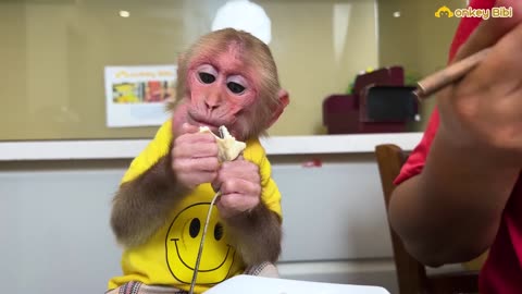 Bibi helps her dad cook