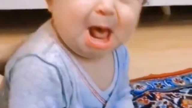 Funny videos