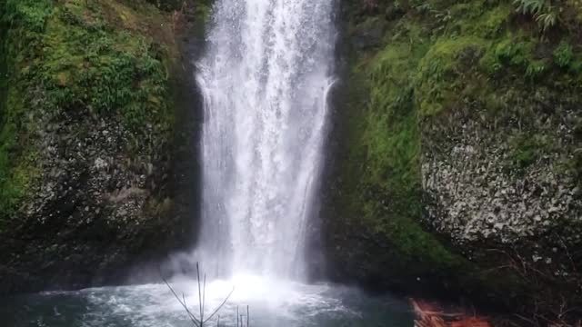 Healing Waters -Nature