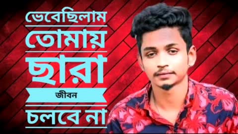 ভেবেছিলাম তোমায় বাসছি জীবন চলবে না