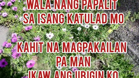 Ikaw ang iibigin ko - Jos Garcia lyrics