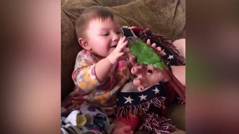 Baby meets new Pet parrot, cute and funny