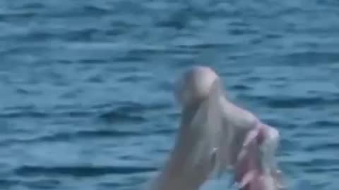 SCARY REAL FOOTAGE FOUND MERMAID REAL OR FAKE?