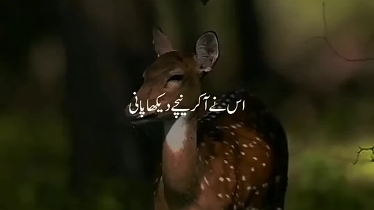 Allah ki nemat
