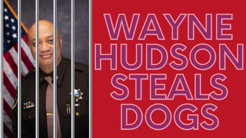 Wayne Hudson Steals Dogs (MAGA Afrobeat)