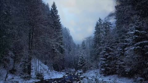 Peace of Mind- Snowfall Video