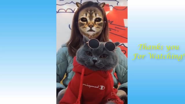 Funny and Cute Cat's Life 👯😺 Cats and Owners are the best friends Videos