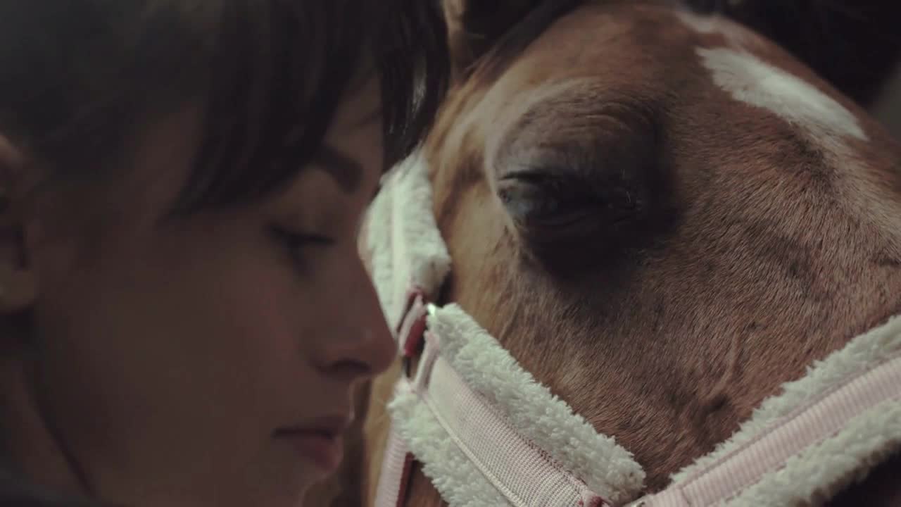 Young woman looks after her horse in the stall