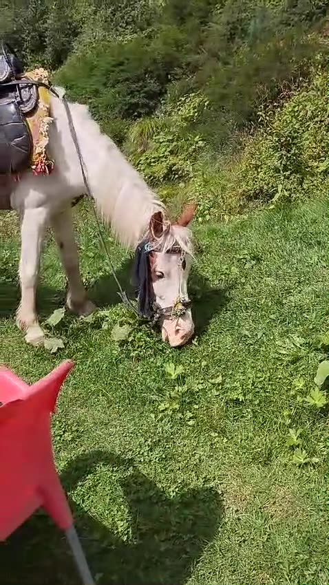 Trip to Pakistan 2024-32