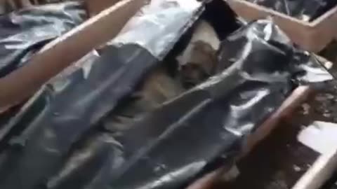 WAGNER FIGHTERS SHOW COFFINS WITH UKRAINIAN SOLDIERS IN BAKHMUT