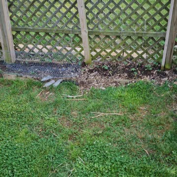 Hanging GARDEN MAY 3 2022 pt2