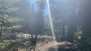 Very Easily Accessible Metolius River – Metolius River National Recreation Area – Central Oregon