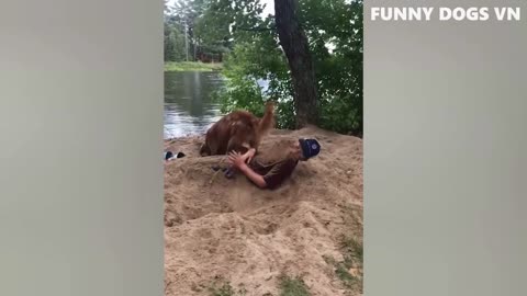 Bad boy, this is to bury the master